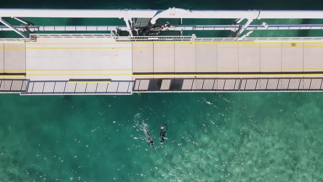 큰 콘크리트 도시 바다 파이프라인과 항구  ⁇ 에 스피어건으로 물고기를 잡는 프리다이버