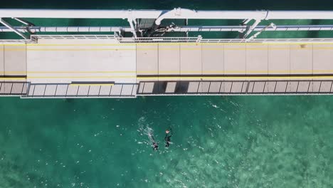 freedivers catching fish with spearguns next to a large concrete city ocean pipeline and jetty