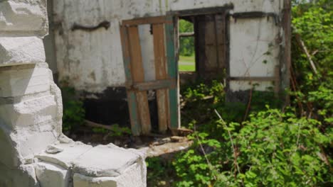 abandoned building with overgrown vegetation