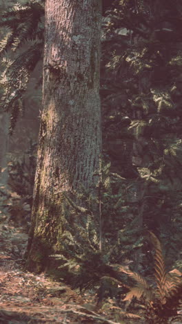 un árbol alto en un bosque exuberante