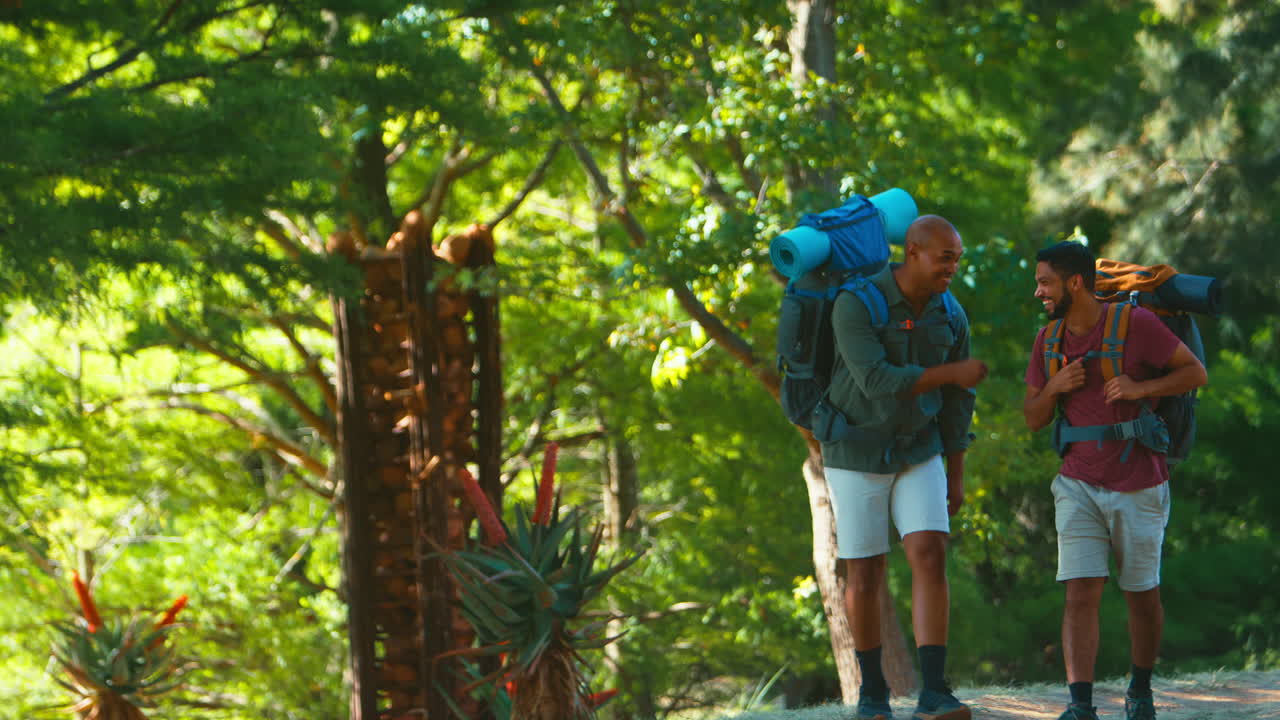 dos amigos masculinos con mochilas golpeando el puño en vacaciones caminando por el campo juntos
