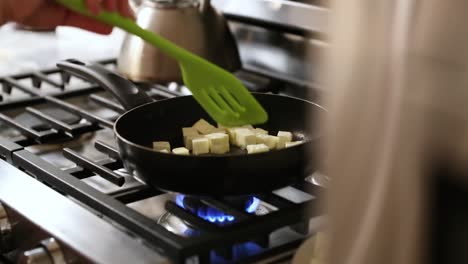 Mujer-Revolviendo-Paneer-En-Estufa-En-Cámara-Lenta