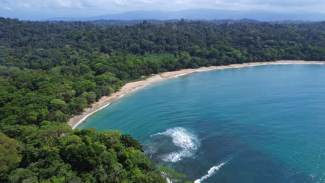 birds-eye of gandoca-manzanillo's untouched paradise: forest and beach.