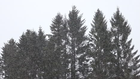 heavy snowing in slow motion