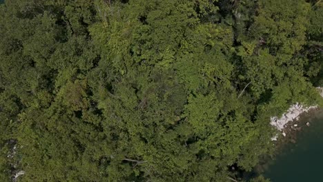 Dschungelbedeckte-Insel-Im-Lake-Mainit---Philippinen