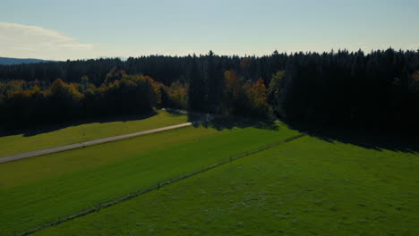 Revealing-Drone-shot-of-the-alps-with-forest-in-the-foreground-and-the-Bavarian-alps-in-the-background