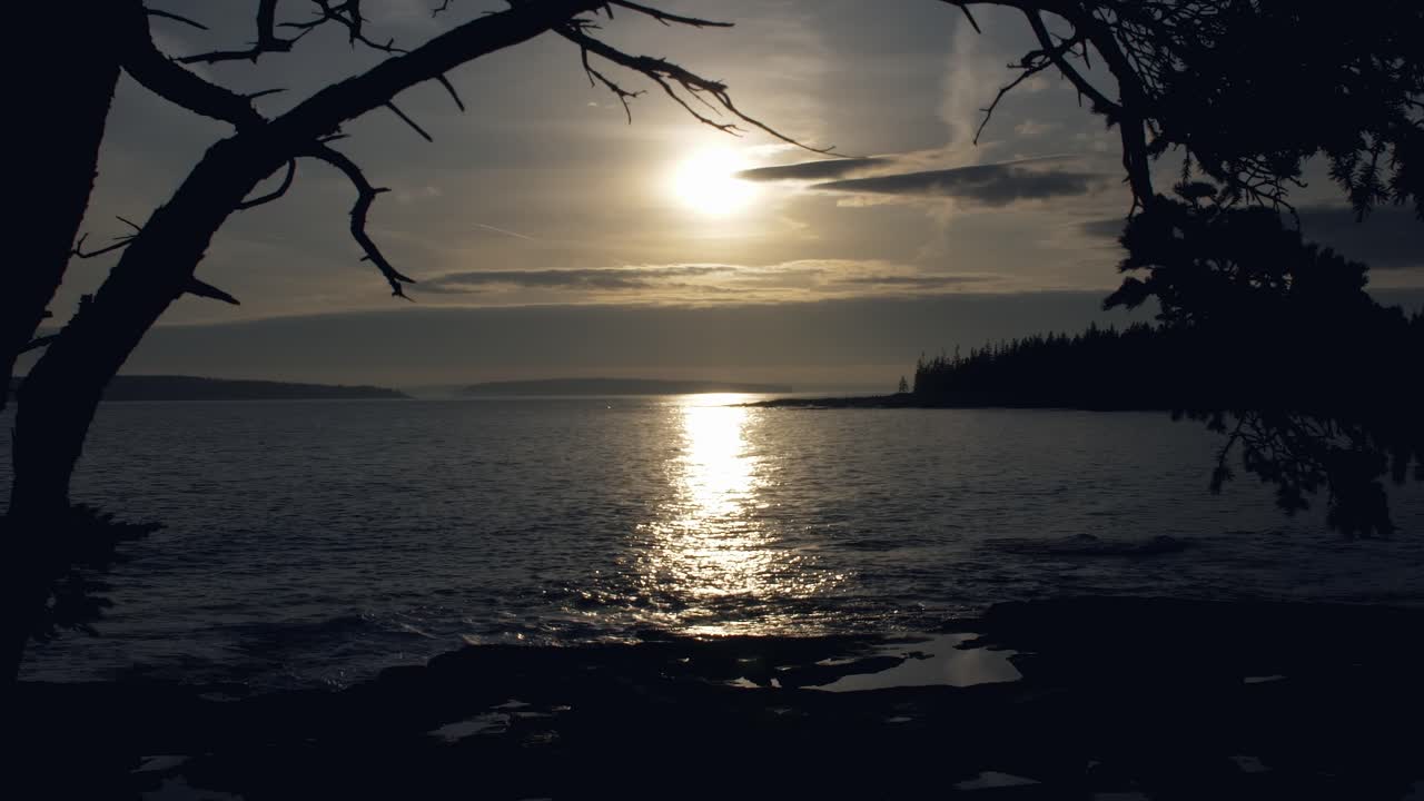 Mainen Sunset Bay -lahti puun oksan alta, hidastettu, 24fps