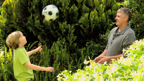 father and son playing with a ball