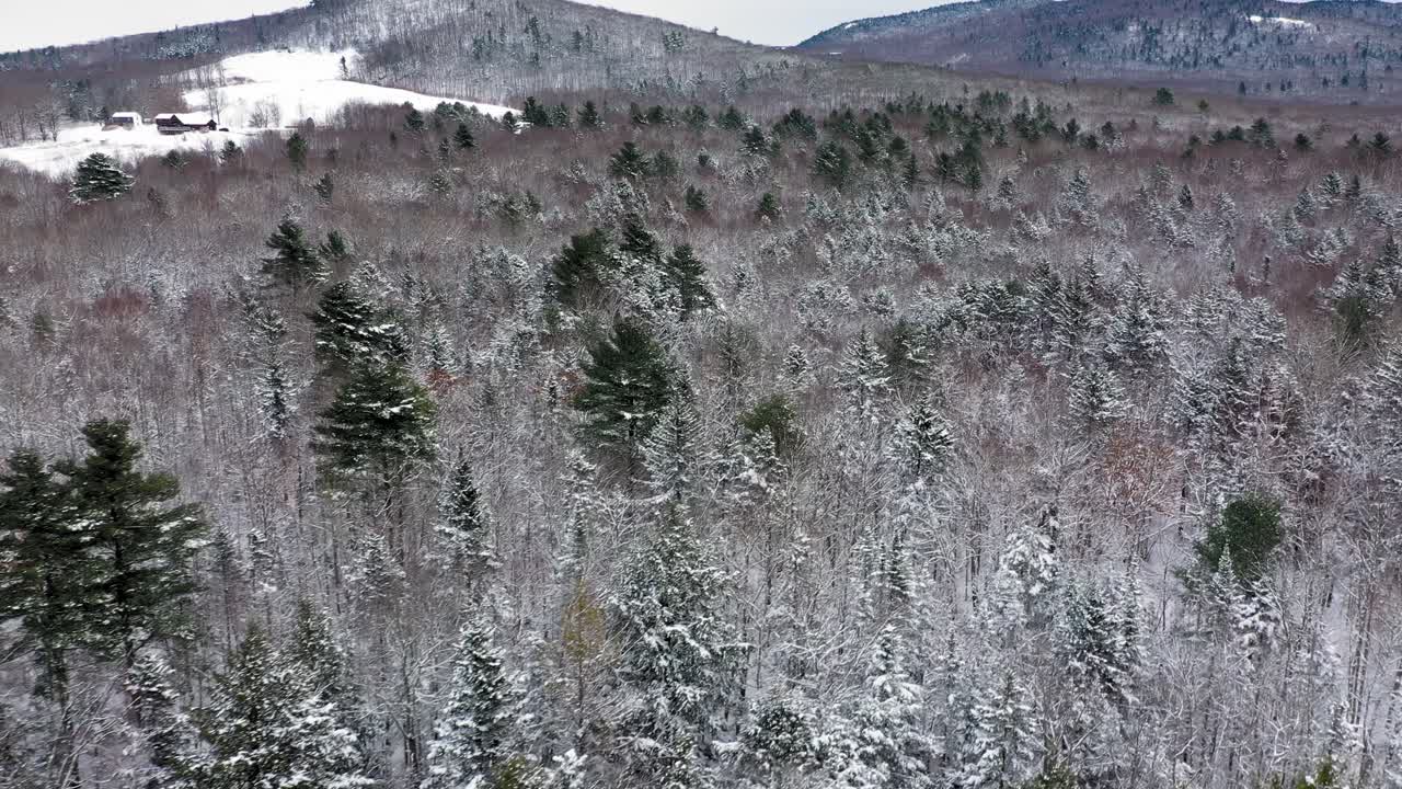 어둡고 차가운 연못과 눈 덮인 숲 위로 구부러진 항공 영상