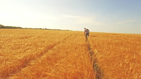 aerial view of farmer walking through his fields