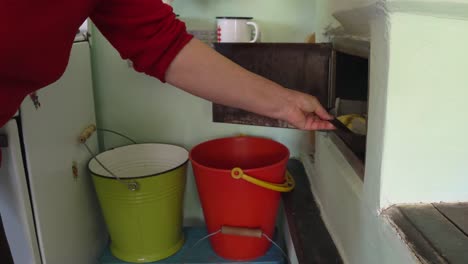 woman puts pies in the stove for baking