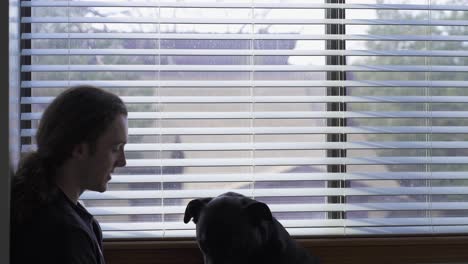 young man with ponytail enjoys cute pet lab x dog by home window