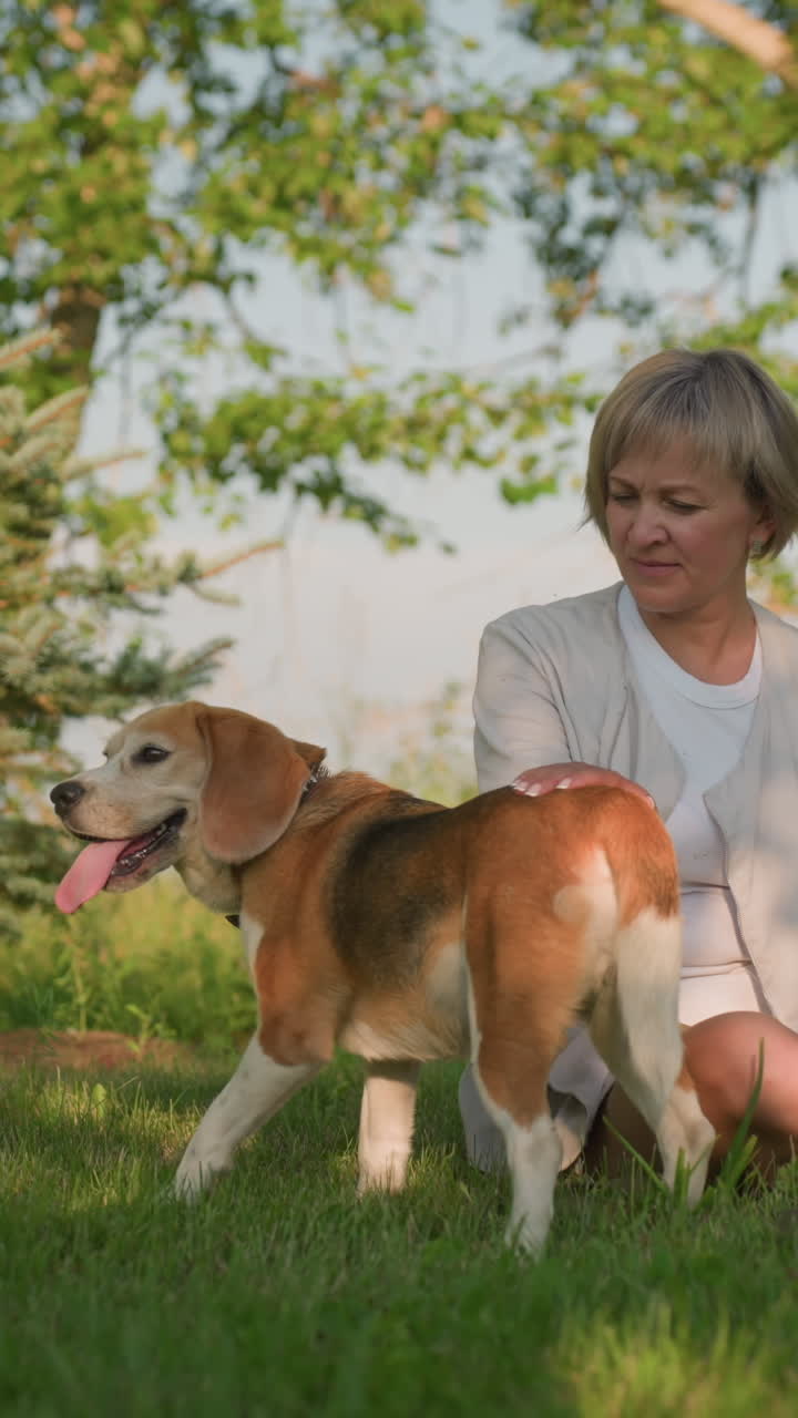 잔디에 앉아있는 애완동물 애호가, 따뜻한 빛 아래 울창한 초록색과 나무를 특징으로하는 배경으로 편안한 순간을 즐기는 개를 사랑스럽게 지켜보는 동안 애정으로 개의 등을 문지르고 있습니다.