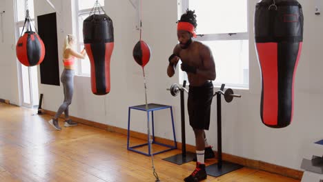 male boxer practicing boxing in fitness studio 4k