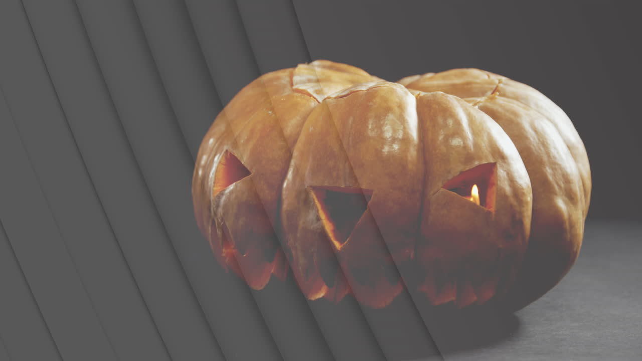 animación de líneas sobre jack o linterna calabaza de halloween en fondo gris