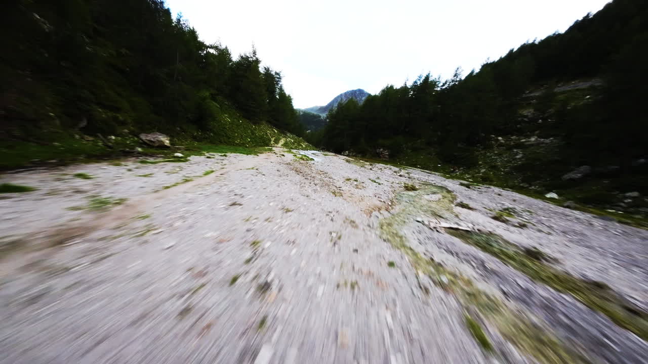FPV flight over lush Swiss valley, nature, adventure, exploration feel