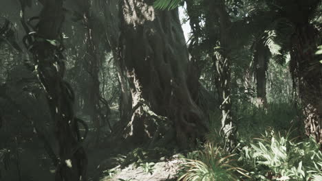 dense jungle with sunlight streaming through the canopy