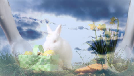 video compuesto de manos y conejo comiendo contra nubes en el cielo azul