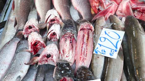 secuencia de exhibición de peces con etiquetas de precio cambiantes