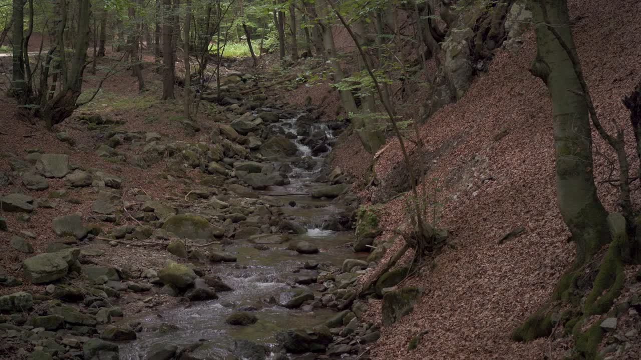 Hiking trail through lush forest leading to Sutovsky waterfall in Mala Fatra, Slovakia. Aerial view of small waterfall along the path. Scenic nature, perfect for travel and outdoor adventure themes