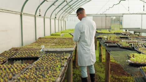 plant farm, tablet and man walk doing science