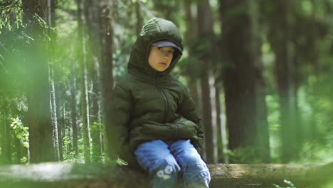 child alone in the woods