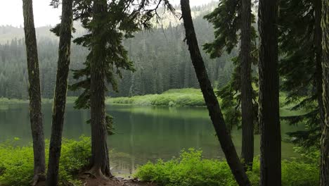 Dirigiéndose-Hacia-El-Lago-Cottonwood-En-Medio-De-Los-árboles