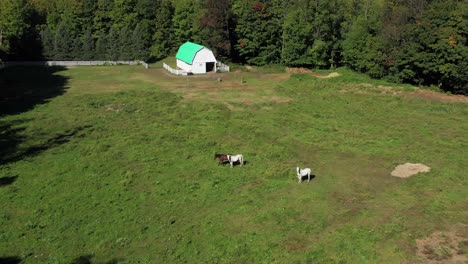 Pferderanch-In-Der-Mitte-Des-Waldes,-Der-Glatten-Flug-Absteigt