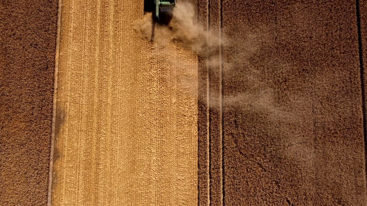 Harvest time, farmers on the field harvesting whit using combain - Harvester -tractors and trailers