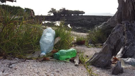 a caucasian woman out of focus has just finished training on the beach of a remote island in the andaman sea and in the foreground plastic bottles have been dumped next to a huge tree