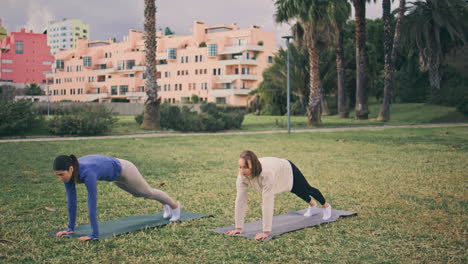 tranquil yogini stretching body yoga mat park. girls practicing plank pose asana