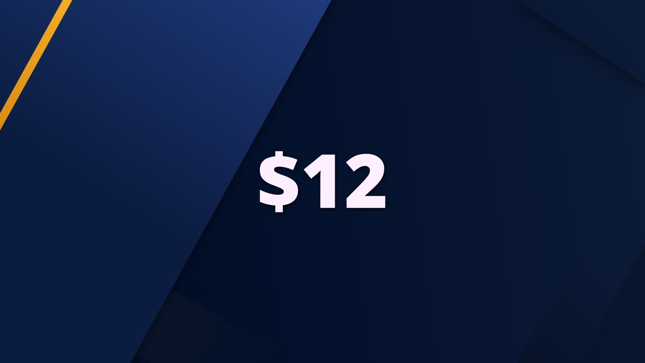 Stylized price reveal animation presenting $12. Useful for advertisements, web shops, app promos, or financial content