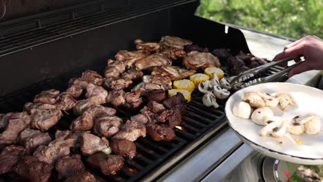 parrilla al aire libre con carne y verduras variadas