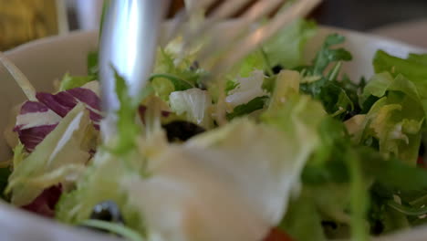 tossing greek salad before eating