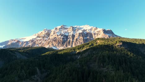 flying over a pine forest towards a mountain covered in snow