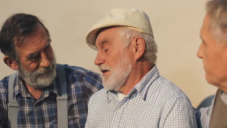 Close-Up-Of-The-Three-Old-Retired-Male-Best-Friends-Talking-Cheerfully-While-Sitting-And-Resting-On-The-Bench-On-A-Sun