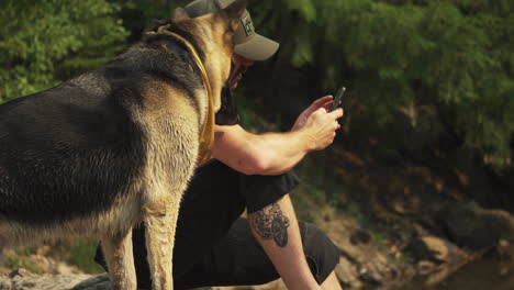 side view, german shepherd standing by owner man sitting while using phone