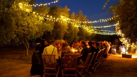 dinner table wedding reception people olive farm lights candles timelapse by taylor brant film