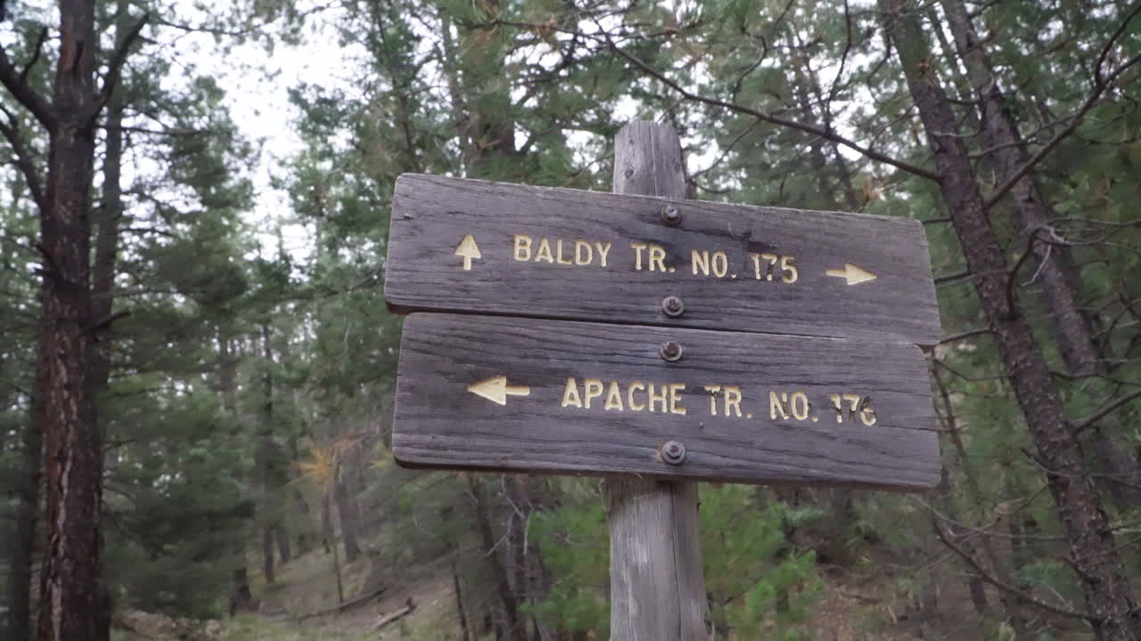 A hiking trail sign points two different directions.