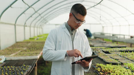 Scientist,-man-and-tablet-for-greenhouse-plants