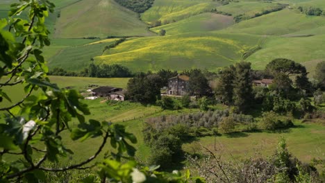 house in a field in tuscany, italy