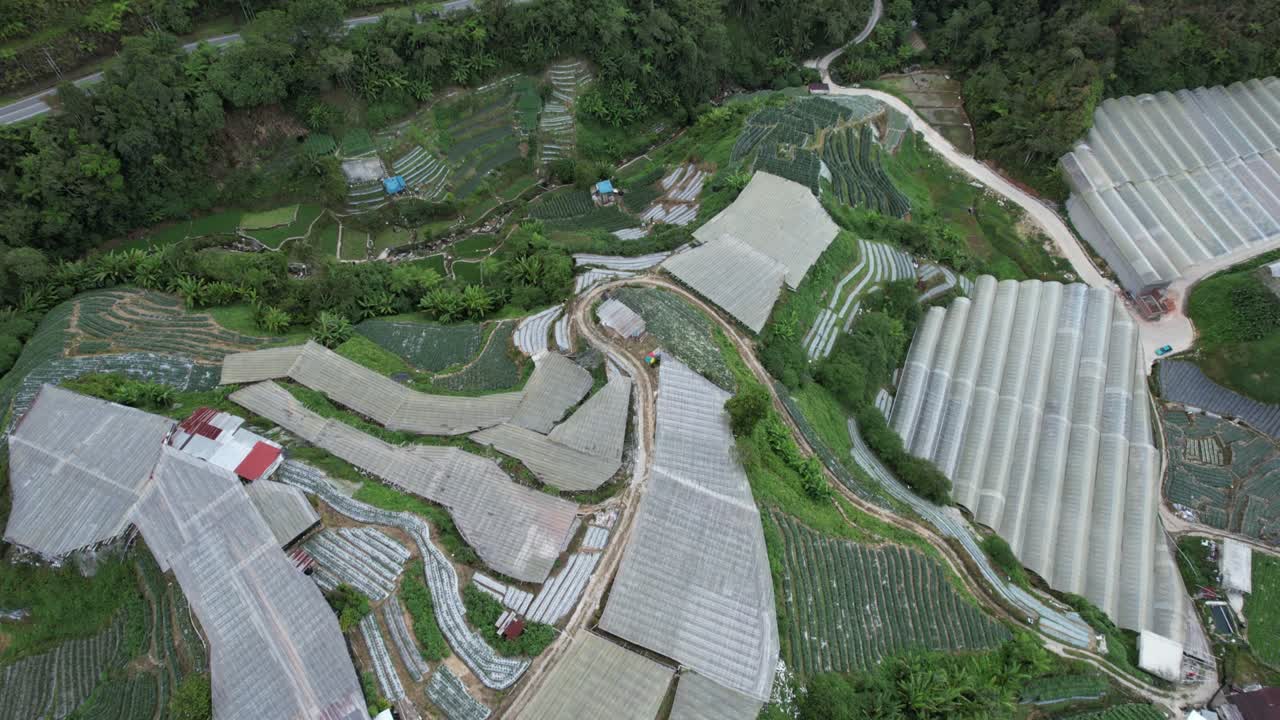 vista general del paisaje del distrito de brinchang dentro del área de cameron highlands de malasia