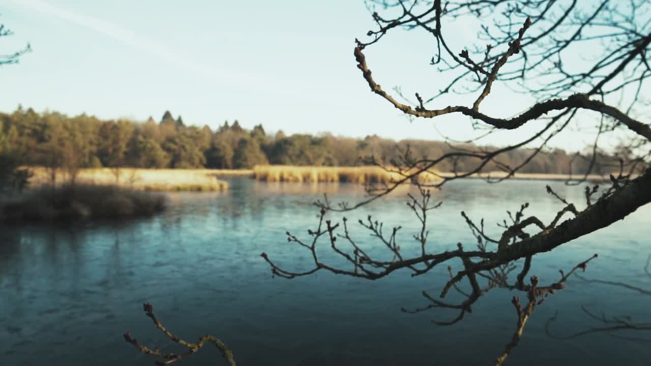 호수 의 겨울 풍경
