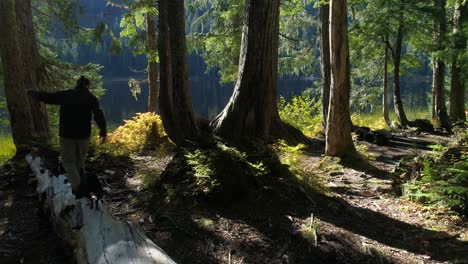 man and boston terrier dog balancing on log hike through woods to mountain lake paradise