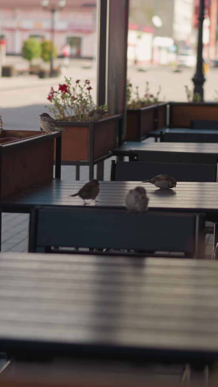 야외 카페 테이블은 벌레가 그 위에 앉아 있으며, 비 식물과 조용한 거리를 배경으로 둘러싸고 있으며, 자연 및 건축 요소와 함께 평화로운 도시 환경을 포착합니다.