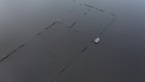 a lone boat navigating through water pathways between fish farms at dawn in bohol, philippines, aerial view