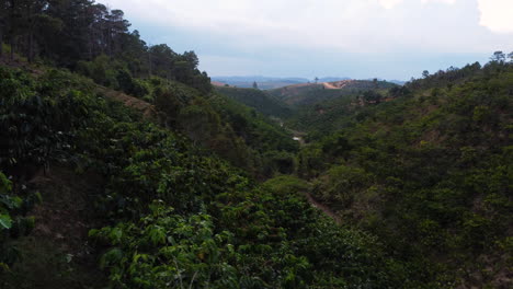 Luftaufnahme-Des-Kaffeefarm-Plantagentals-In-Asien-Vietnam-Ta-Nang