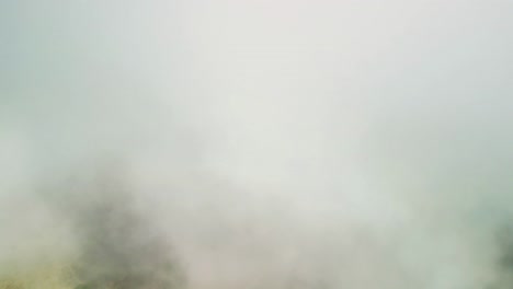 panning shot of a camping site with mountains in the background in fanal forest on the madeira island