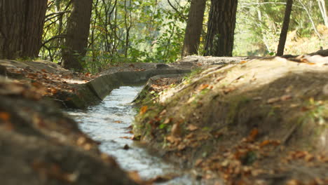 focus rack along a creek