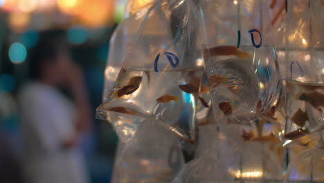 Goldfish-in-street-market-of-Hong-Kong